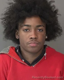 Mugshot of DHAVELLE TYVONTE LEE JACKSON