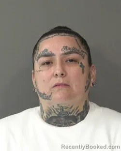 Booking photo from Kosciusko County, Indiana