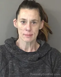 Mugshot of LISA ANN WITHERS