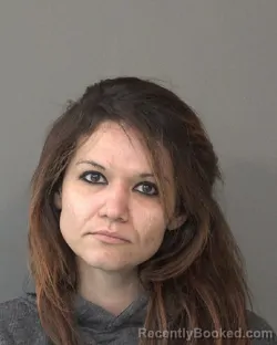 Booking photo from Kosciusko County, Indiana