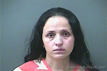 Mugshot of BRENDA HUERTA HERNANDEZ