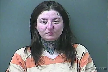 Mugshot of BRAYDIE SEE