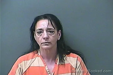 Mugshot of DARLENE RANE HOMAN