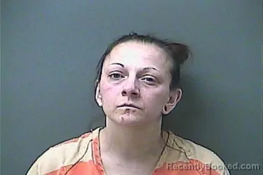 Mugshot of NICOLE L EVANS