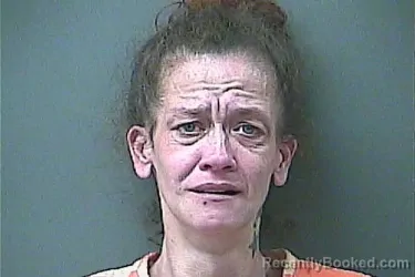Mugshot of SHERRY LYNN MCCLELLAN