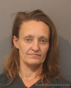 Mugshot of CRYSTAL RENAE MCLAIN