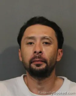 Booking photo from Lake County, Indiana