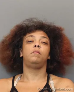 Mugshot of BRITTANY ROSE SCHNEIDER