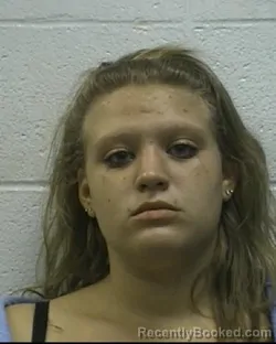 Mugshot of NICOLE ELIZABETH ALLISON