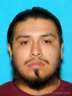 Booking photo from Lake County, Indiana