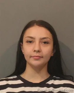 Mugshot of BRIANNA USAK