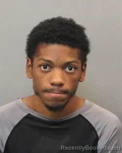 Mugshot of TERRANCE LOVELL WILSON