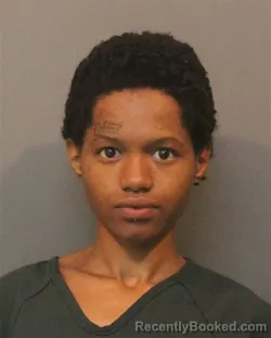 Mugshot of DARION NICHELLE KEY
