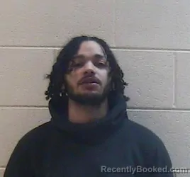 Mugshot of DAMONI AKUA LAVOW