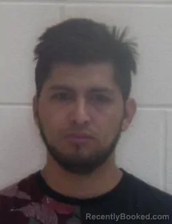 Mugshot of LUIS ALFREDO MENESES SILVA
