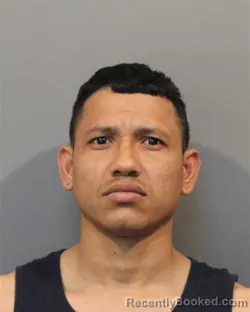 Mugshot of JHOAN ANTONIO MORAN-ORTEGA