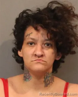 Booking photo from Lake County, Indiana