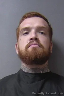 Booking photo from Madison County, Indiana