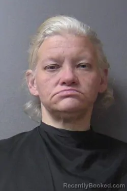 Mugshot of Amber Michelle Ploughe