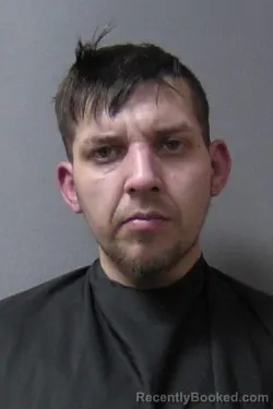 Booking photo from Madison County, Indiana