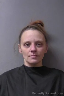 Mugshot of Lisa Faye Harris
