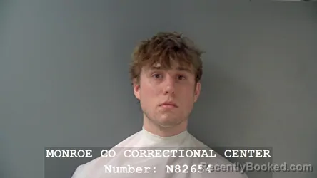 Mugshot of DYLAN SCOTT MCCONNELL