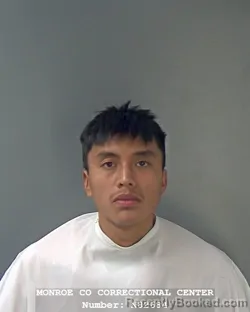 Mugshot of ALEX DIAZ