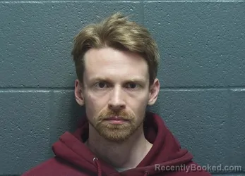 Mugshot of STEVEN M MCELWAIN