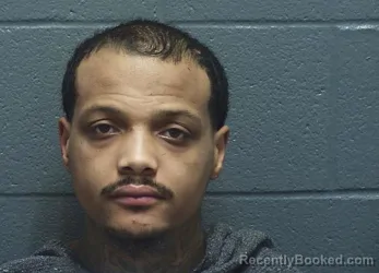 Mugshot of RASEAN LEE COLLINS