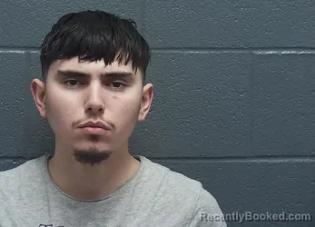 Mugshot of DAVID ROCHA