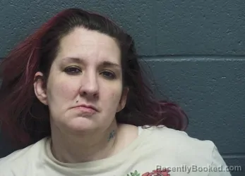 Mugshot of MELISSA MARIE MCMURRAY