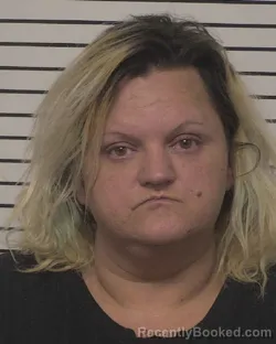 Mugshot of AMANDA CHLOE WELLS