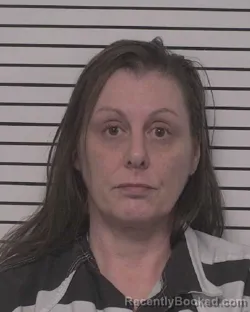 Mugshot of JENNIFER LEANNE MCINTOSH