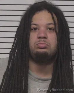 Mugshot of BRIAN ALEXANDER JOHNSON