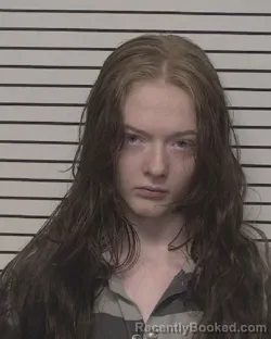 Mugshot of DEANNA JEAN SMITH