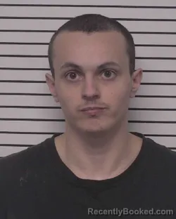 Mugshot of WILLIAM EDWARD HAMILTON