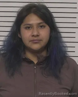 Mugshot of DIANNA BAUTISTA MONDRAGON