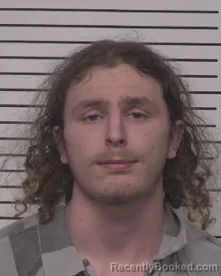 Mugshot of RYLEE TRACE VINCENT PUPP