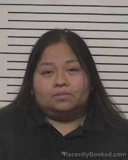 Mugshot of EVELYN VARGAS-DIONICIO