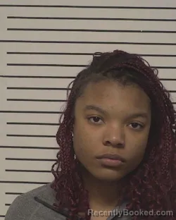 Mugshot of SHANELLE JAYLEN FEAGINS
