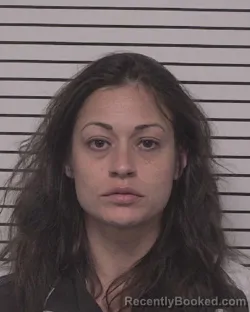 Mugshot of REBECCA COLLEEN DIMMER