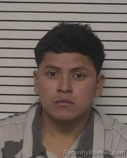 Mugshot of RUBEN ALONSO ARIAS-ALVARDO