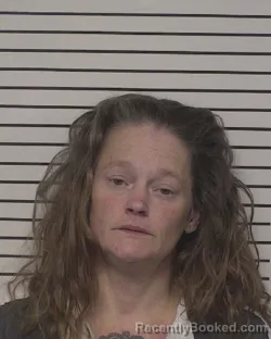 Mugshot of HEATHER LYNNE BOSTIAN