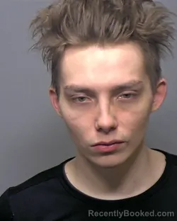 Booking photo from Porter County, Indiana