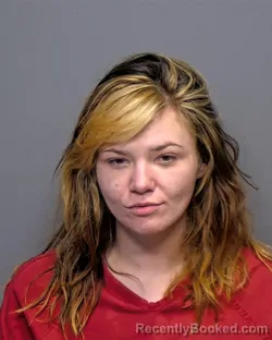 Mugshot of Angela Laverne Struyf