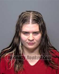 Booking photo from Porter County, Indiana