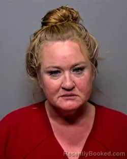 Booking photo from Porter County, Indiana