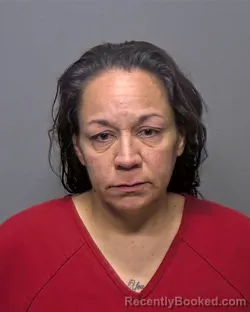 Booking photo from Porter County, Indiana