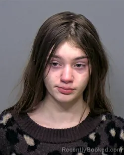 Mugshot of Izzabellah Elizabeth Schaefer