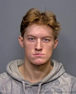 Mugshot of Wyatt Edward Sills